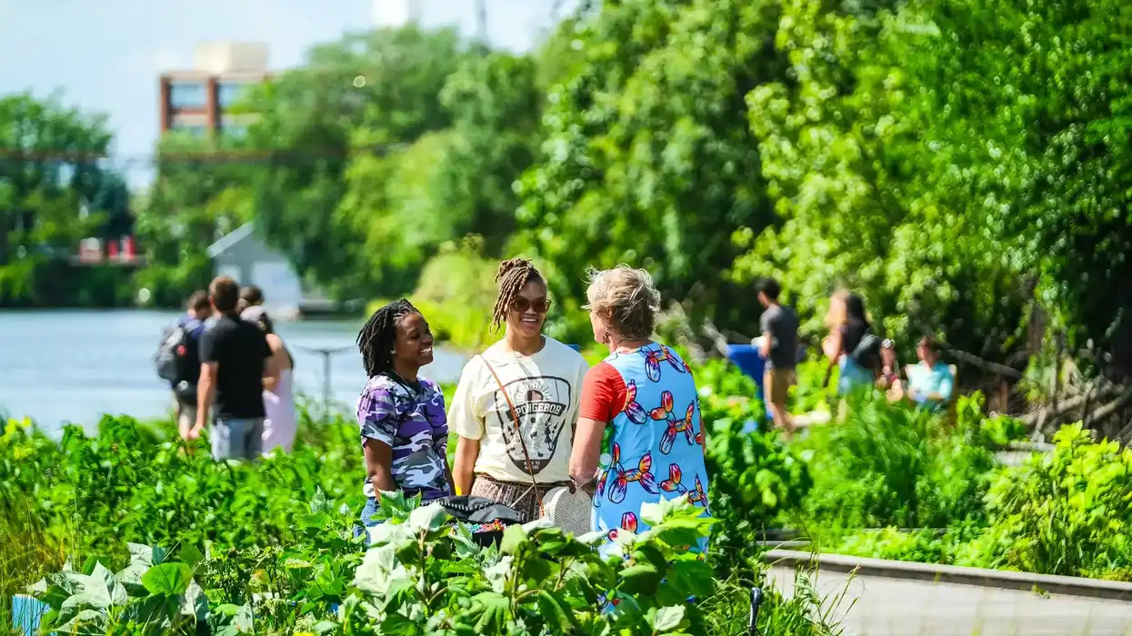 People talking near a river