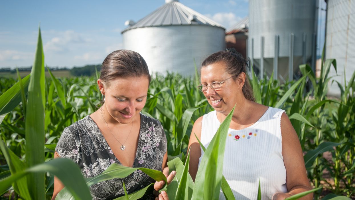 People working on a farm