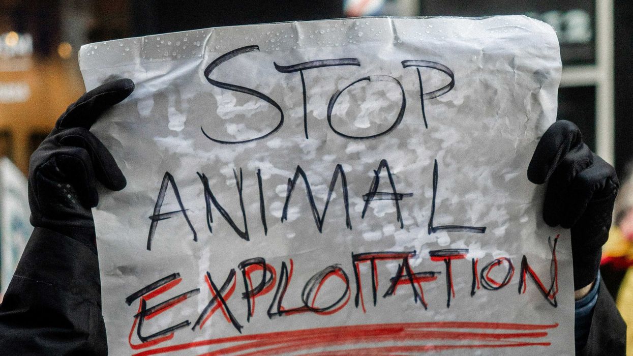 The Blind Eye: Selective Empathy in an Age of Violence