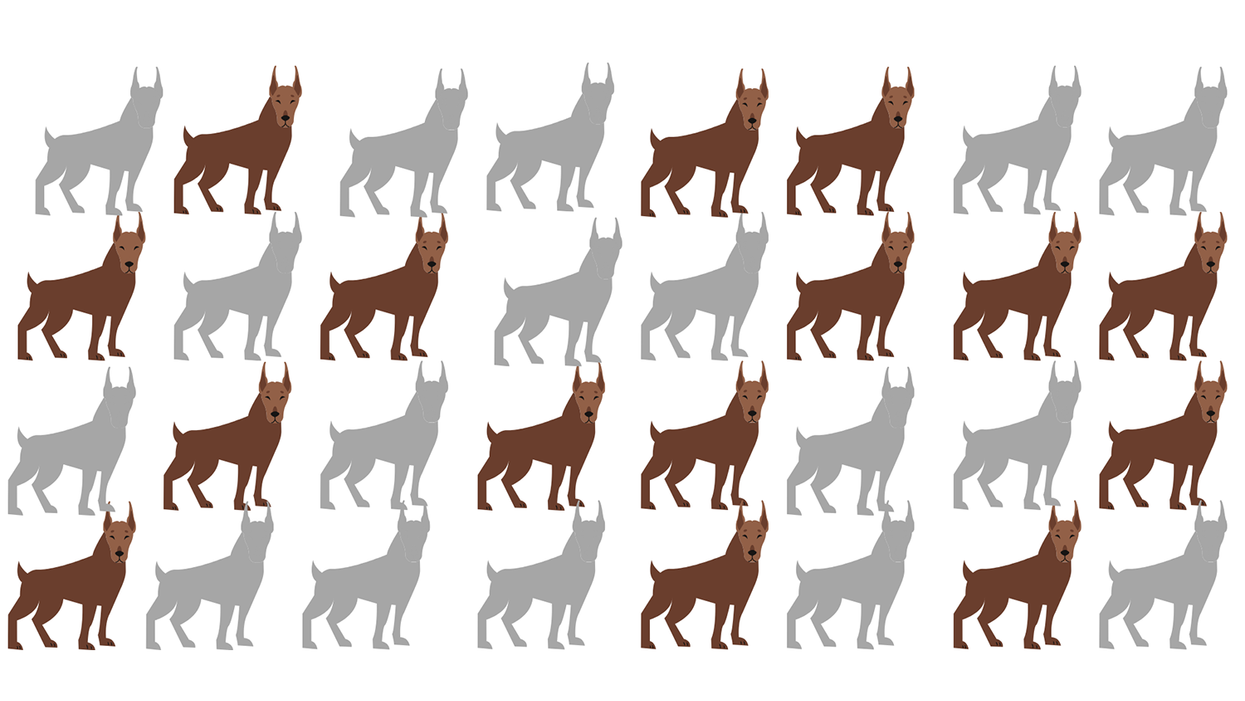 Federal waste watchdogs, undermined by Trump, get some GOP backing