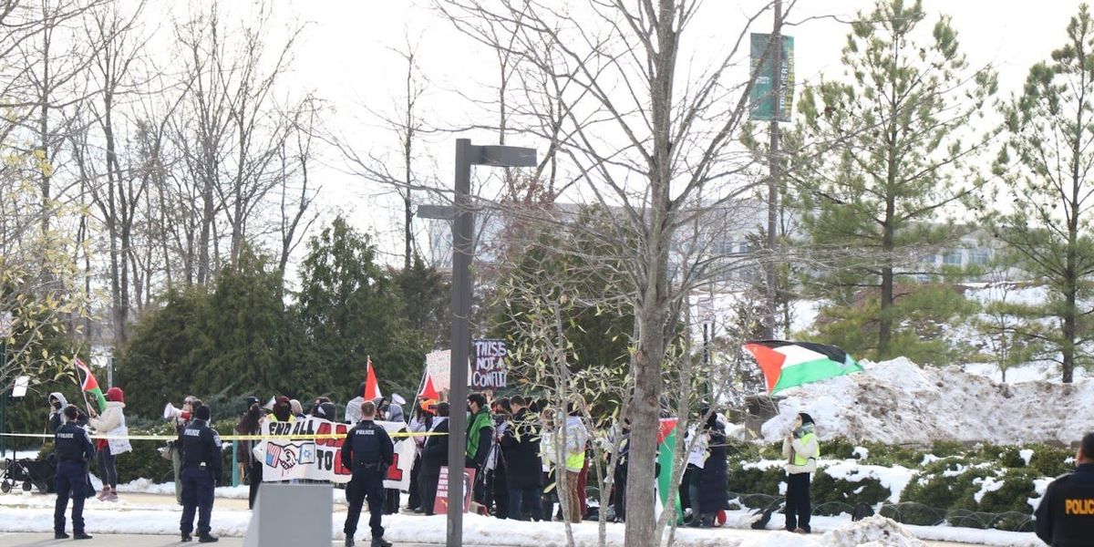 ​Pro-Palestinian demonstrators