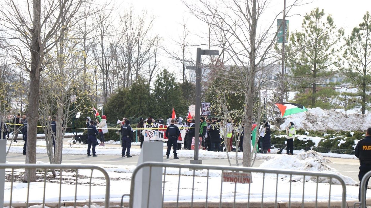 Pro-Palestinian demonstrators