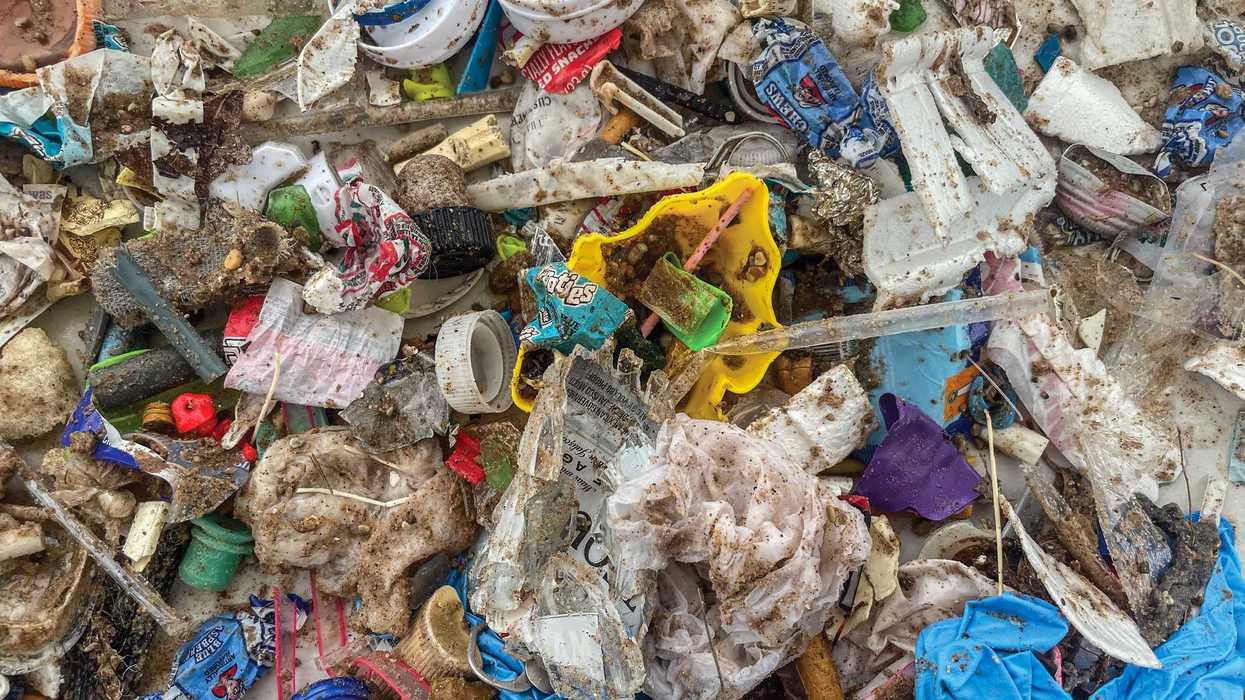Plastic Is Flowing Into the Great Lakes—and Into Us