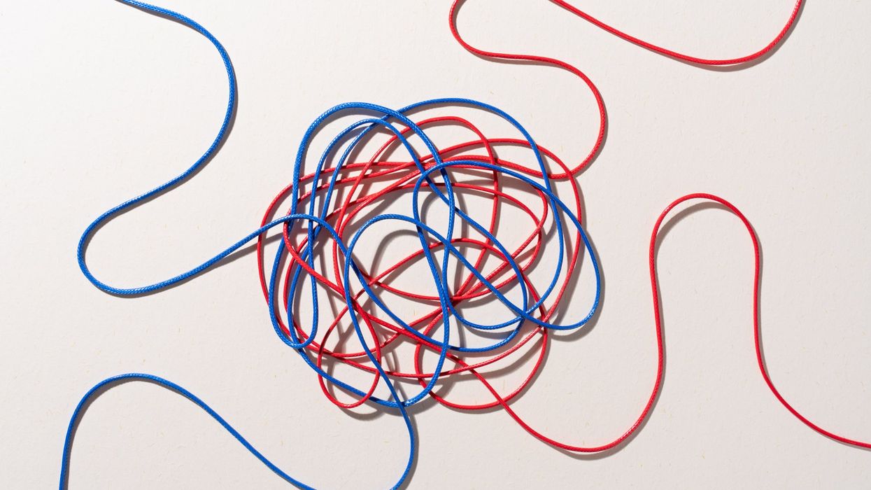 American Democracy Has Been Caught in the Partisan Crossfire