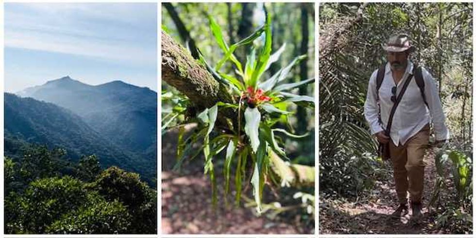 Scenes from  Ilhabela State Park