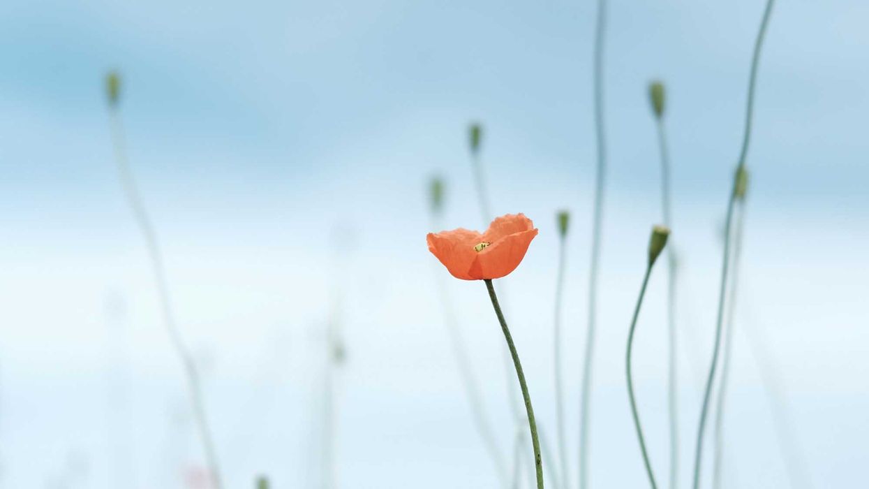 Planting Hope in a Hard Season