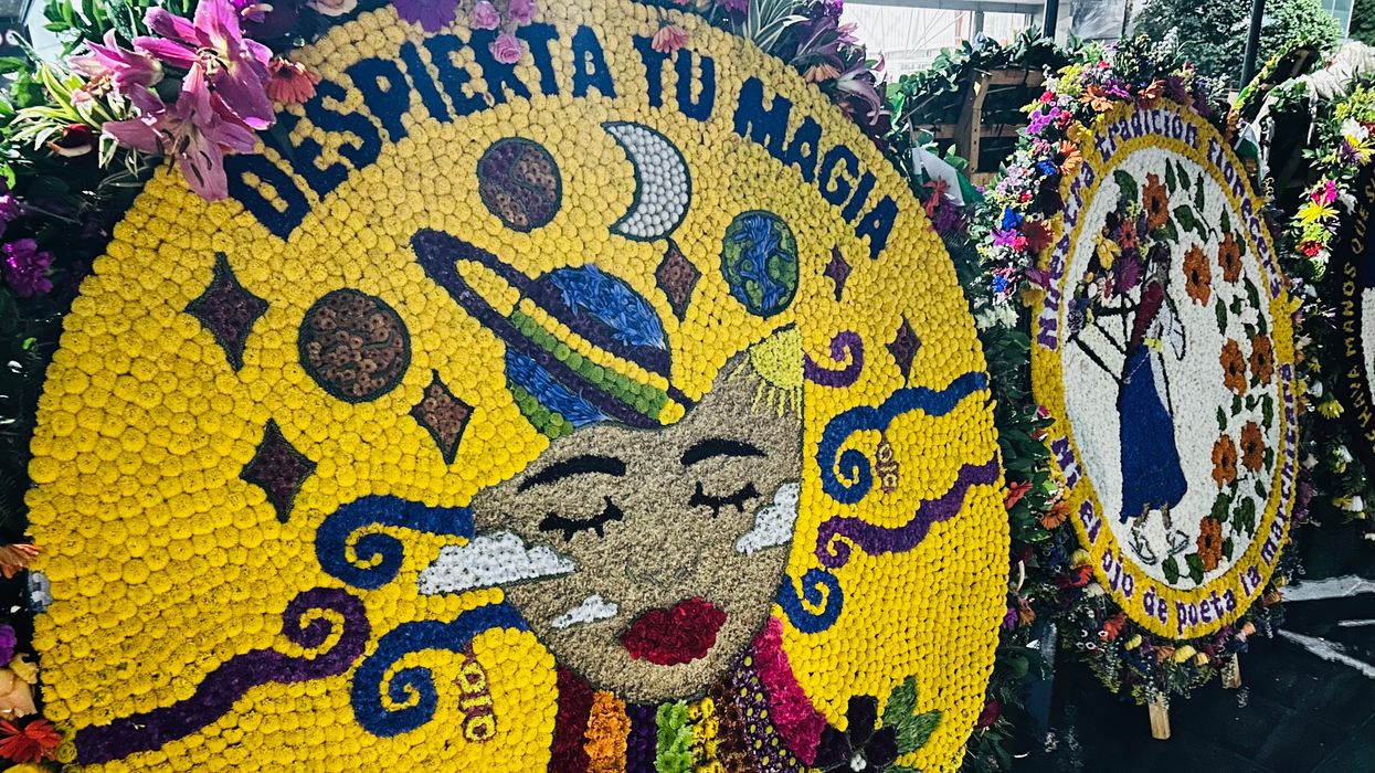 The Blooming Trade: How Colombia’s Cut Flower Industry Fuels America’s Floral Economy