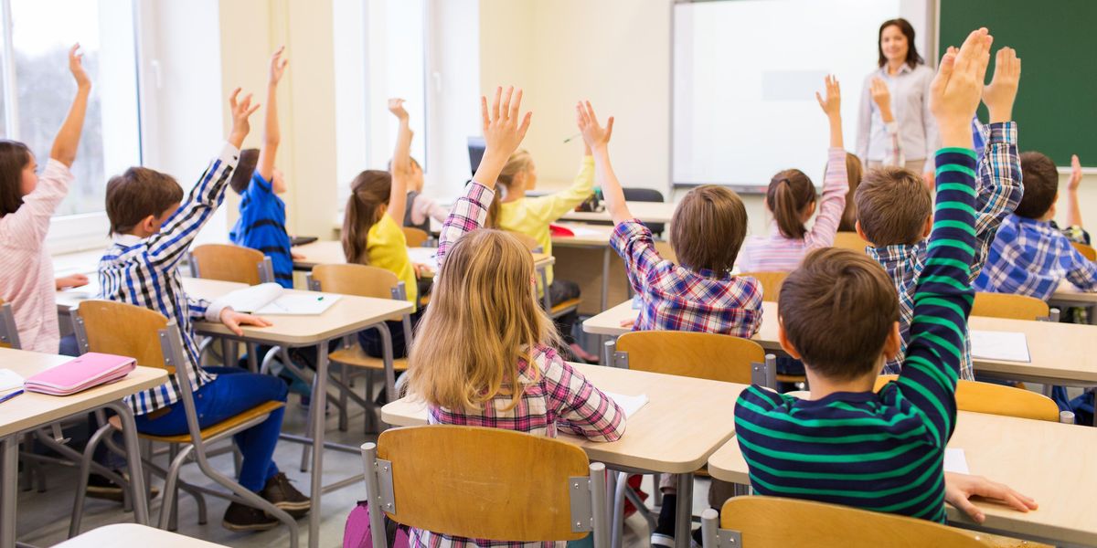 Students raising their hands in a classroom