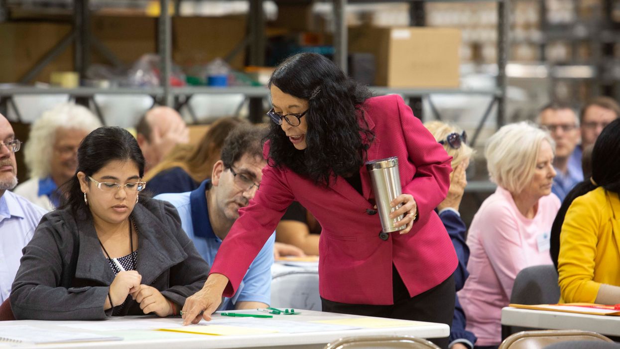 Susan Bucher, Palm Beach County voting