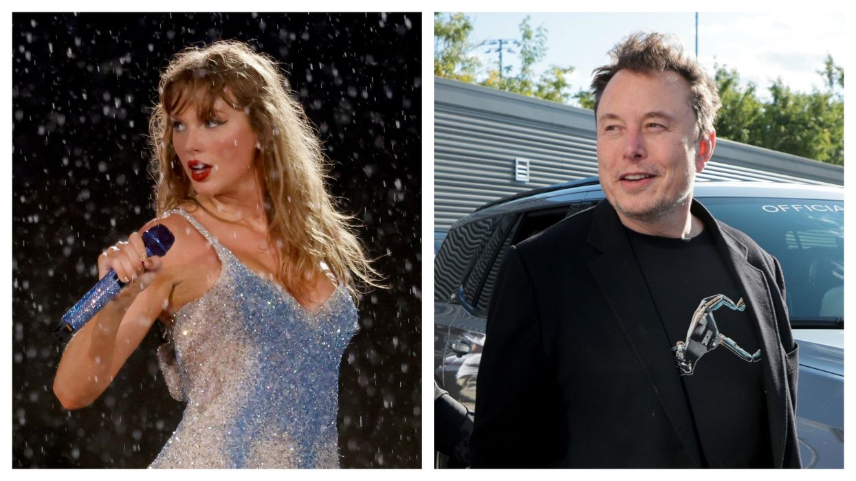 Taylor Swift and Elon Musk