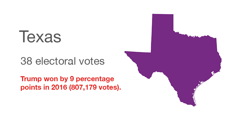 Texas vote data