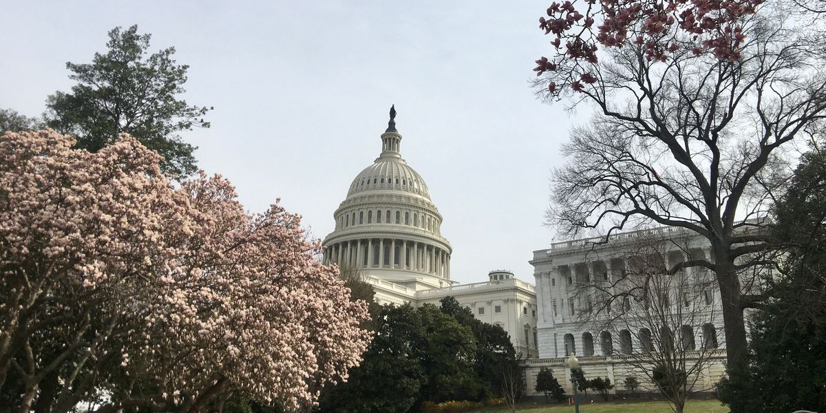 The Capitol