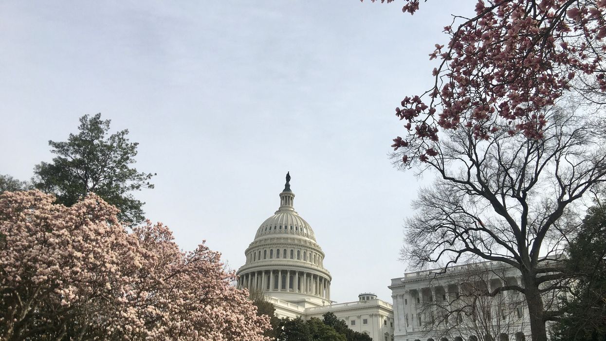 The Capitol