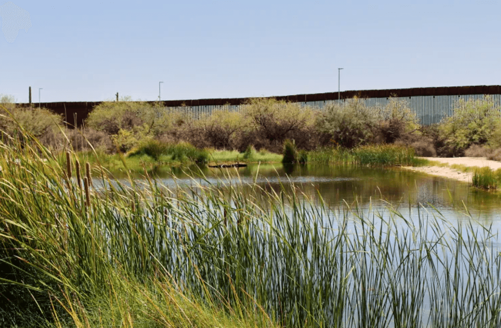 The Quitobaquito pond sits near the U.S.-Mexico border just west of the Lukeville port of entry on Monday, Aug. 24, 2026. The Trump administration is attempting to build a second border fence 150-feet from the existing border, which O\u2019odham tribal members and environmentalists say would damage Quitobaquito, a sacred site to the O\u2019odham and other indigenous people. Credit: Stephanie Casanova