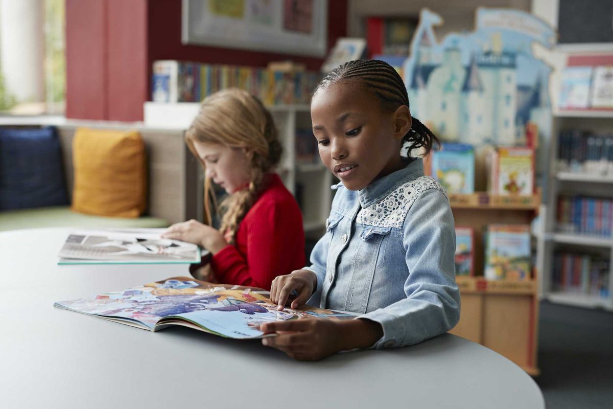White Books and Curriculum Damage Black Children