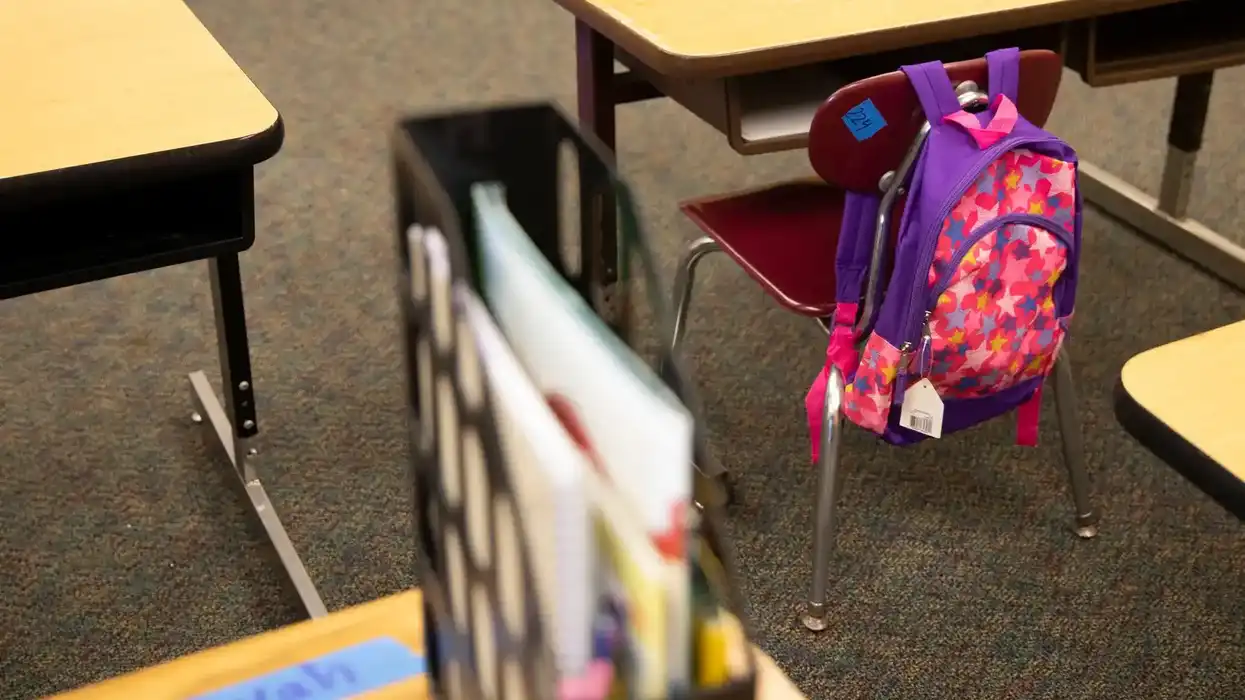 ‘Selling off the Department of Education for parts’