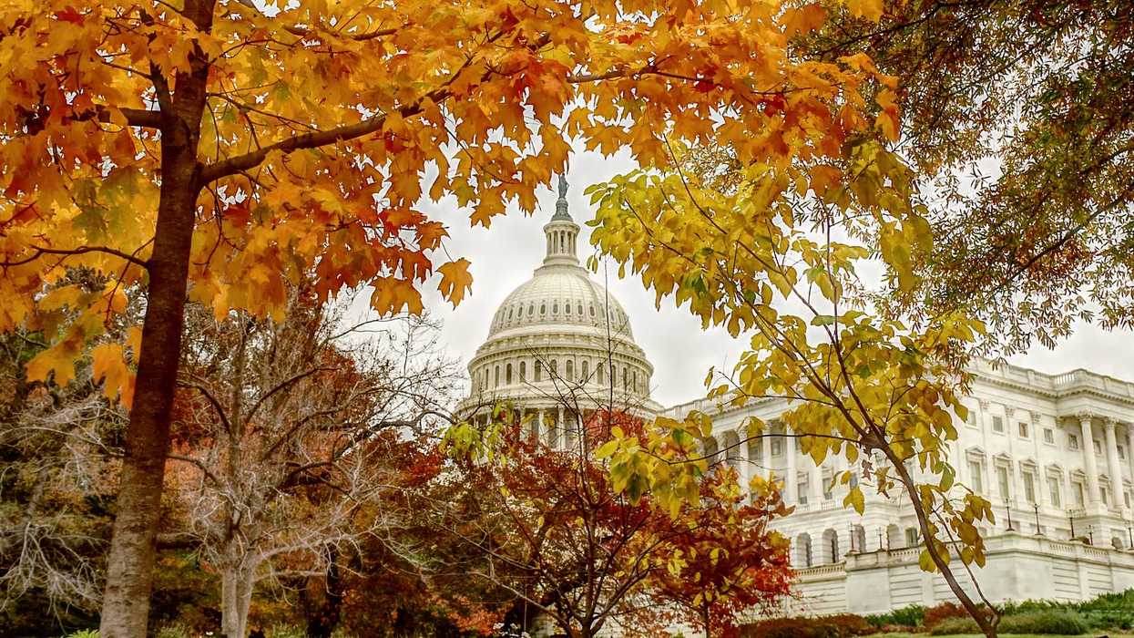 The U.S. Capitol in autumn.