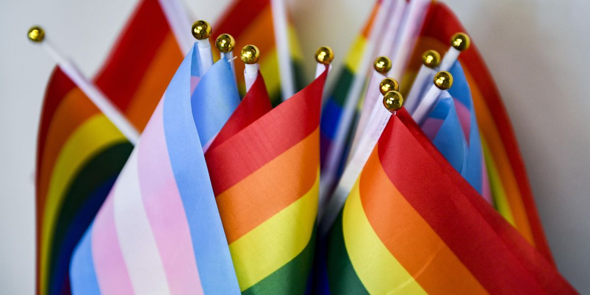 Transgender and LGBTQ flags