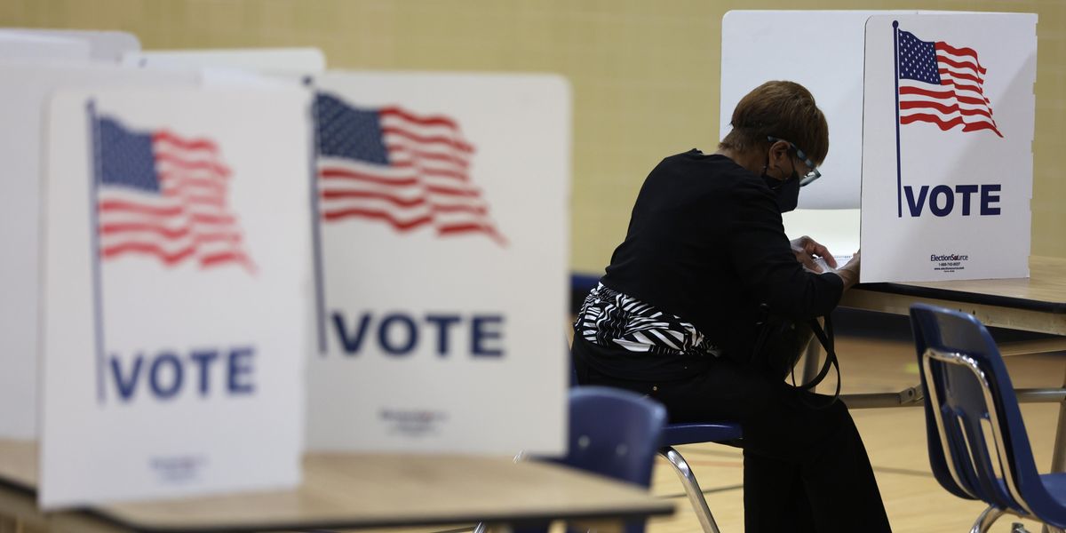 Virginia primary voter