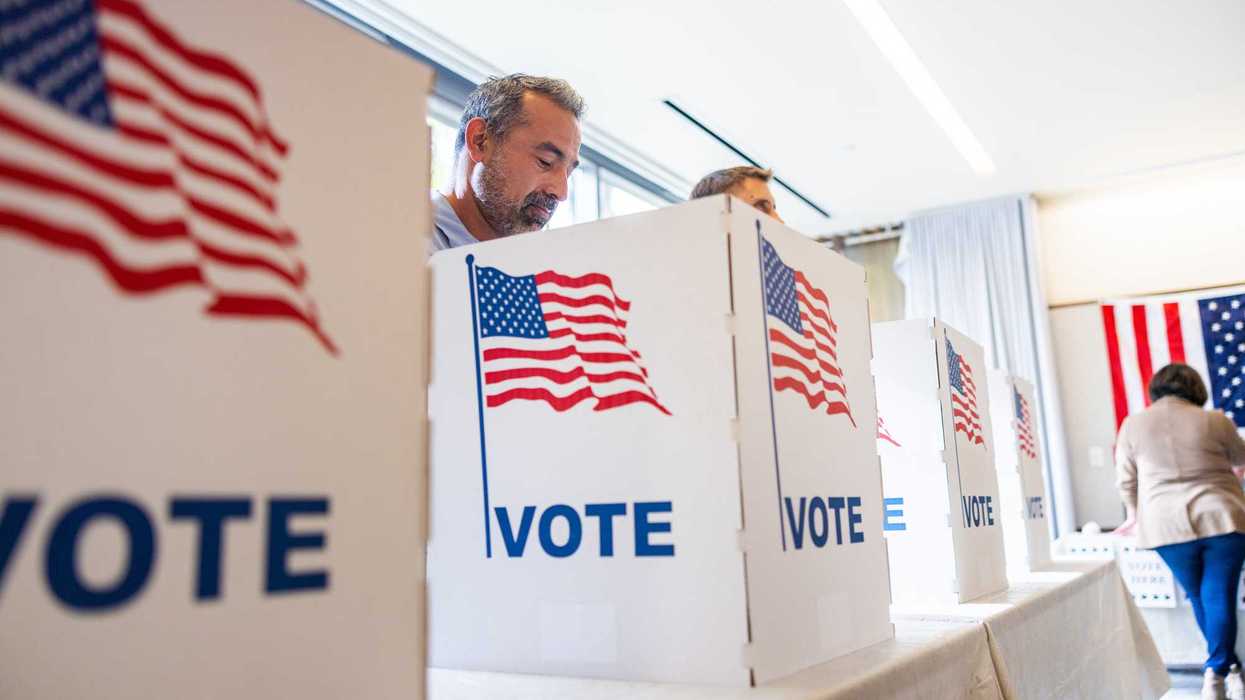 Voters standing at voting booths.