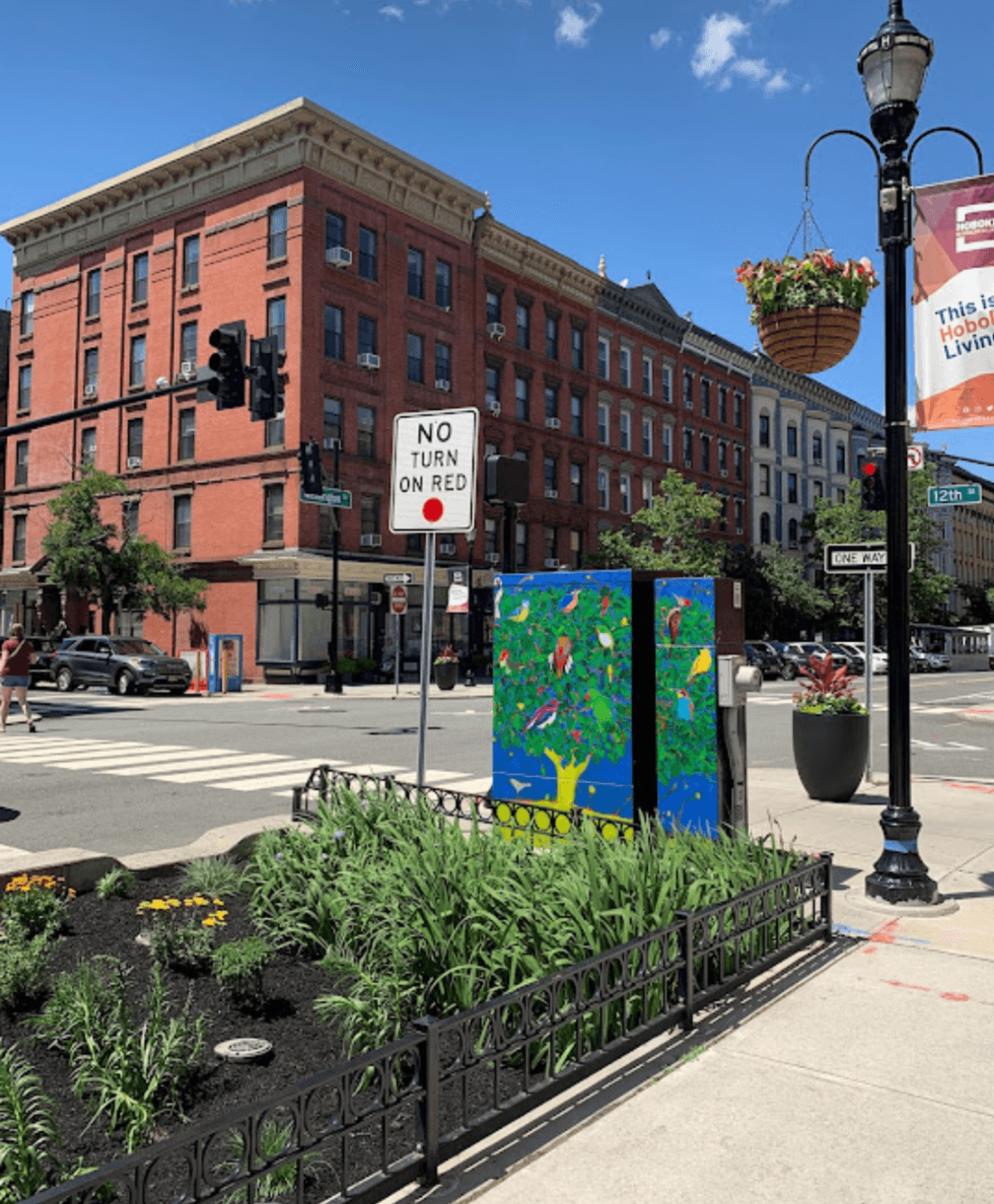 Washington Street rain garden