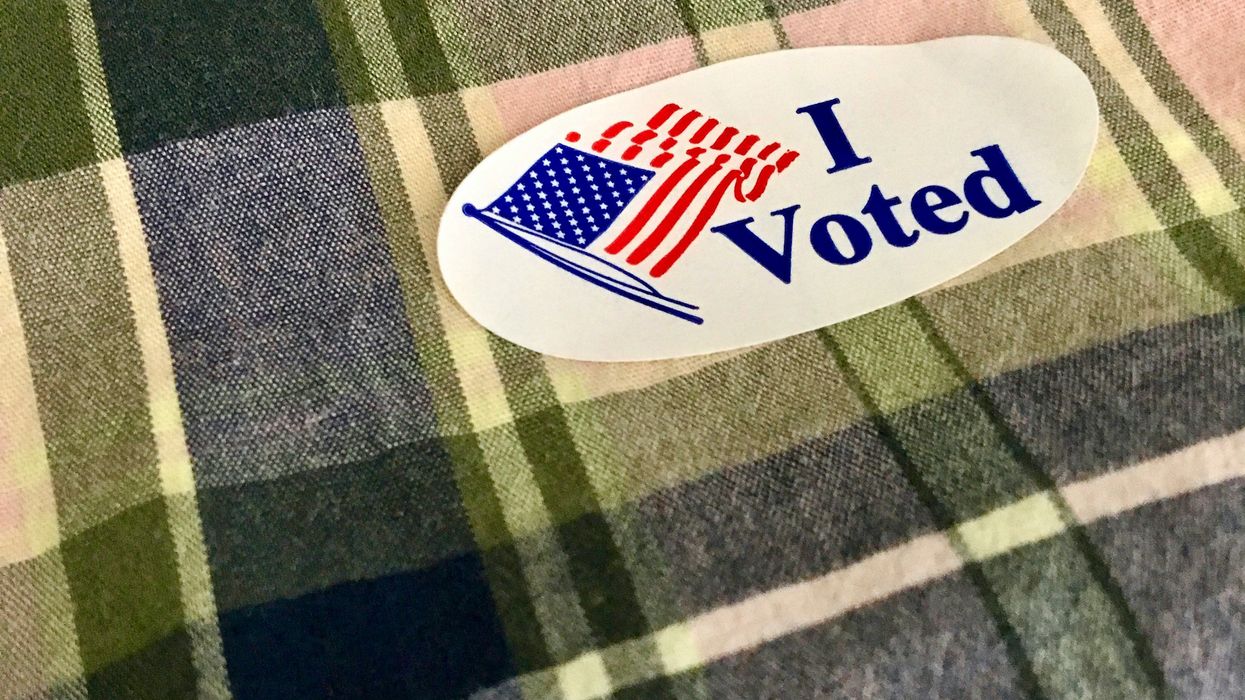 Does My Vote Still Matter?