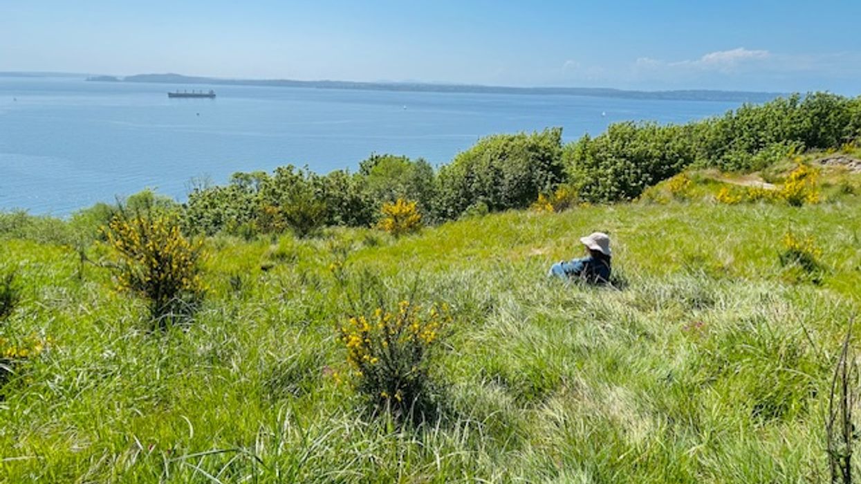 World Environment Day: A Celebration of Nature and Action for Change