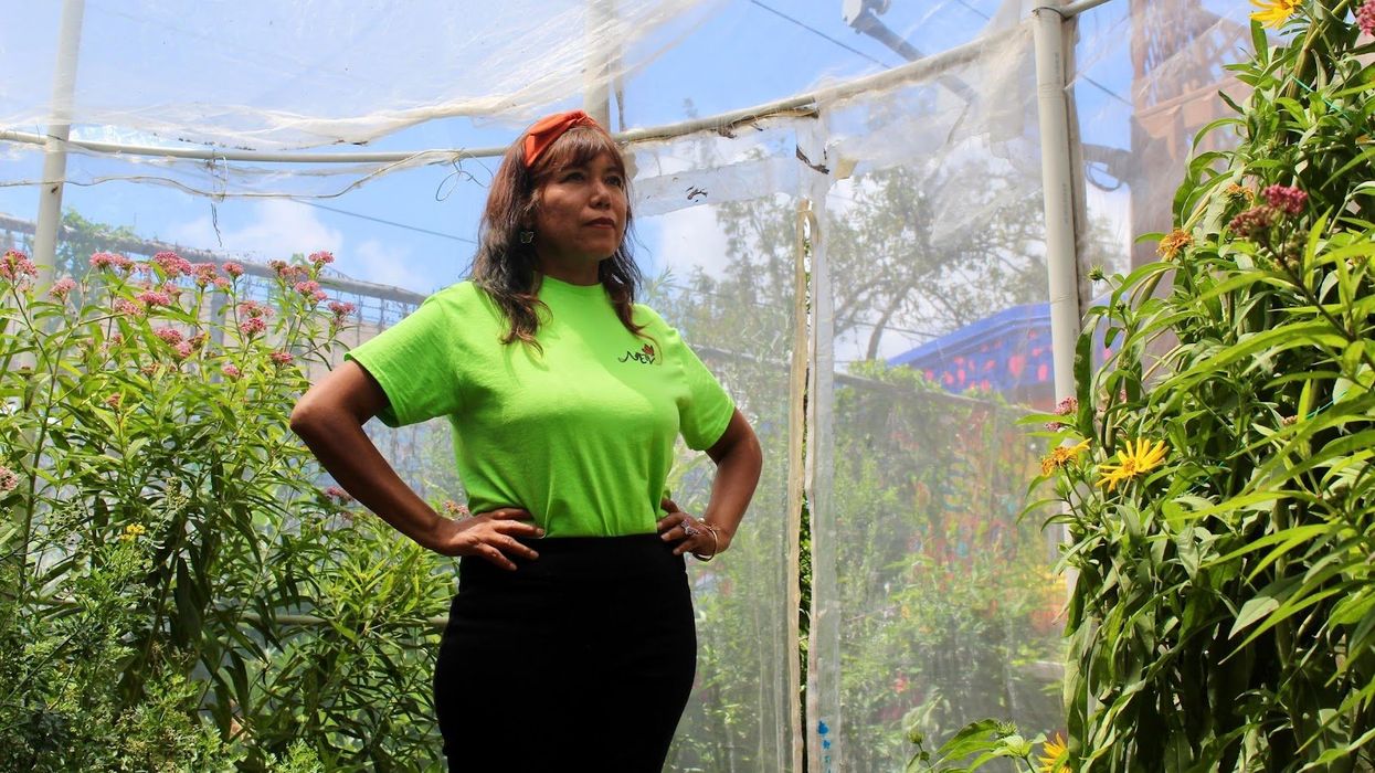 woman standing in a butterfly sanctuary